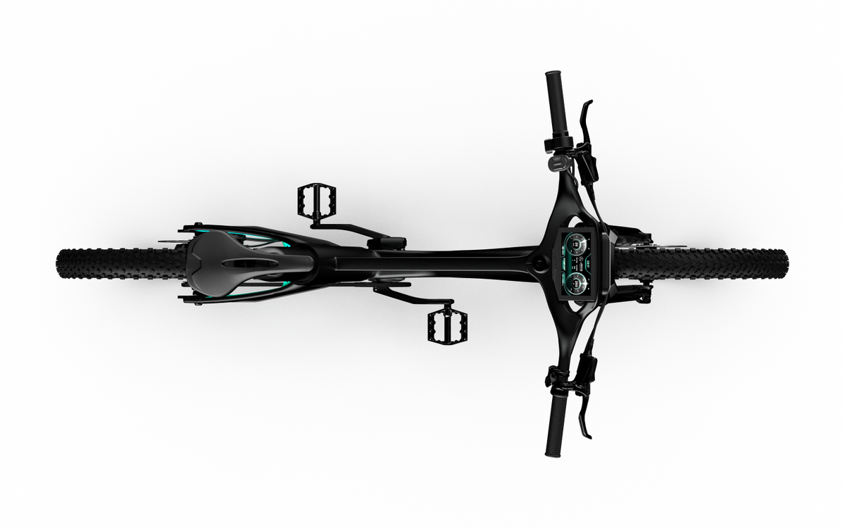 Mercedes-AMG F1® Rallye Edition 250 Electric Bike