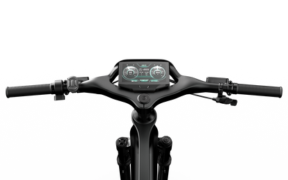 Mercedes-AMG F1® Rallye Edition 250 Electric Bike