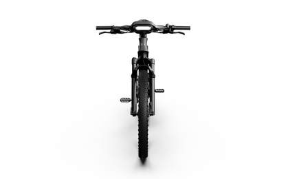 Mercedes-AMG F1® Rallye Edition 250 Electric Bike