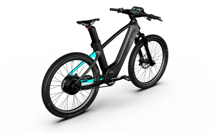 Mercedes-AMG F1® Rallye Edition 250 Electric Bike