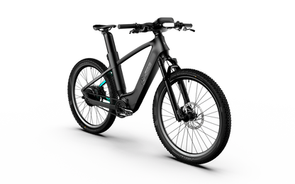 Mercedes-AMG F1® Rallye Edition 250 Electric Bike
