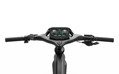 Mercedes-AMG F1® Track Edition 250 Electric Bike