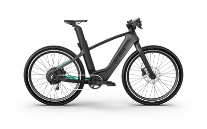 Mercedes-AMG F1® Track Edition 250 Electric Bike