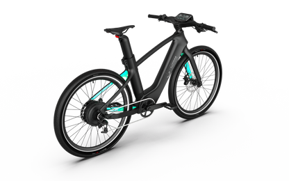 Mercedes-AMG F1® Track Edition 250 Electric Bike