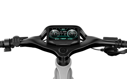 Mercedes-AMG F1® City Edition 250 Electric Bike