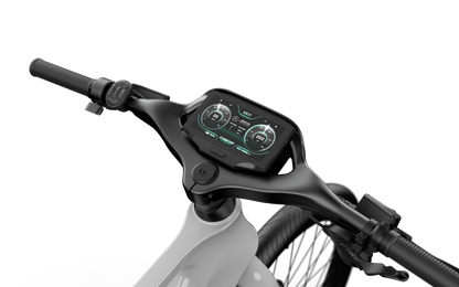 Mercedes-AMG F1® City Edition 250 Electric Bike